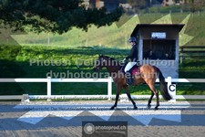 ref. photo 3556884