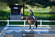 ref. photo 3556886