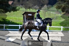 ref. photo 3556950