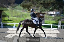 ref. photo 3556951