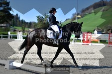 ref. photo 3556954