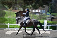 ref. photo 3556959
