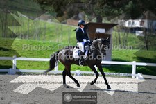 ref. photo 3556970