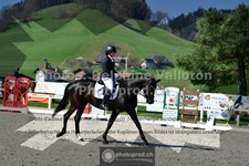 ref. photo 3556995
