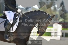 ref. photo 3556997