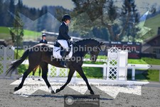 ref. photo 3557002