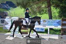 ref. photo 3557004