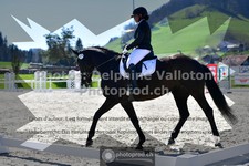 ref. photo 3557006