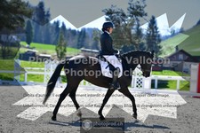 ref. photo 3557007