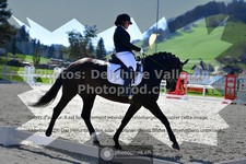 ref. photo 3557010