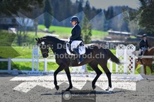 ref. photo 3557013