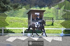 ref. photo 3557015