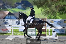 ref. photo 3557019