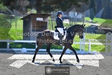 ref. photo 3557022