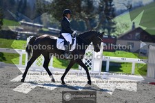 ref. photo 3557023