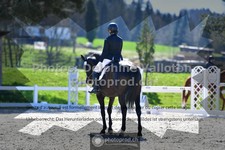 ref. photo 3557029