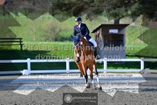 ref. photo 3557053