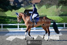 ref. photo 3557054