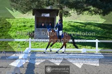 ref. photo 3557060
