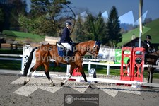 ref. photo 3557065