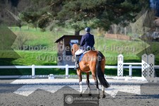 ref. photo 3557070