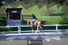 ref. photo 3557072