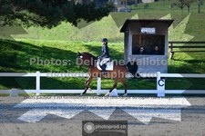ref. photo 3557103
