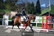 ref. photo 3557106