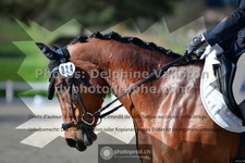 ref. photo 3557112