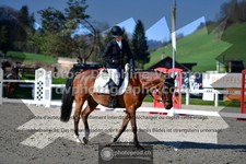 ref. photo 3557121