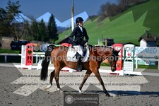 ref. photo 3557122