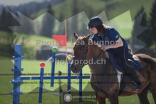 ref. photo 3557123