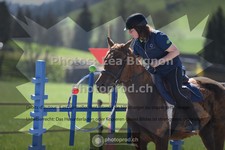 ref. photo 3557124