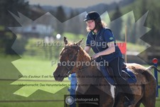 ref. photo 3557125