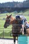 ref. photo 3557126
