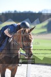 ref. photo 3557129
