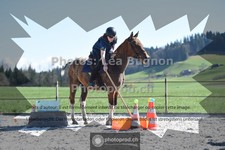 ref. photo 3557136