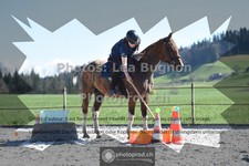 ref. photo 3557137