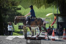 ref. photo 3557144