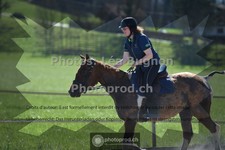 ref. photo 3557145