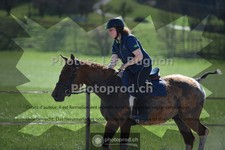 ref. photo 3557146