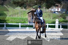 ref. photo 3557147