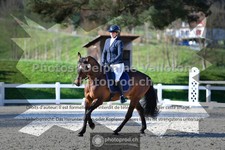 ref. photo 3557149