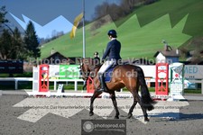 ref. photo 3557151