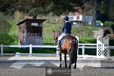 ref. photo 3557152