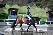 ref. photo 3557154