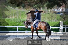 ref. photo 3557155