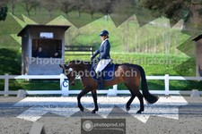 ref. photo 3557156