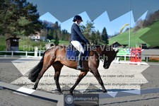 ref. photo 3557157