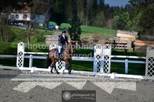 ref. photo 3557161